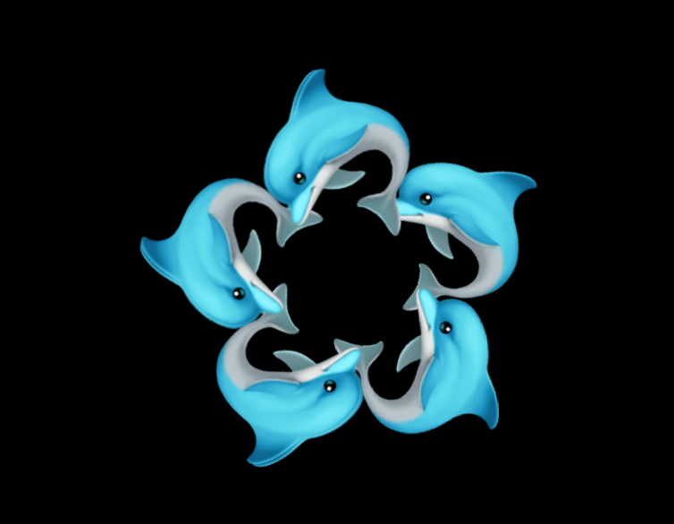 dolphib-rotation